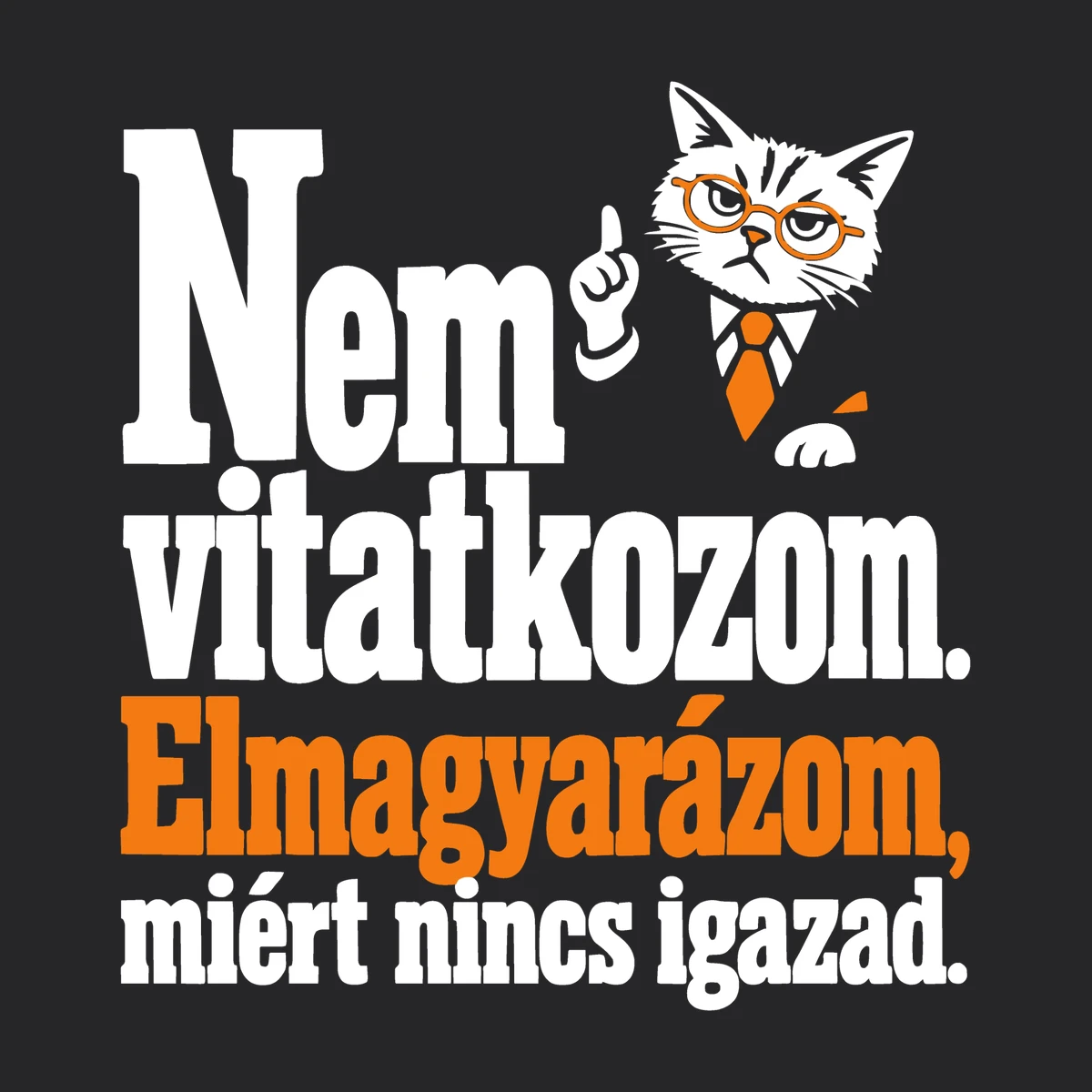 Nem vitatkozom – elmagyarázom, miért nincs igazad – vicces cipzáros pulóver – 2. termékfotó