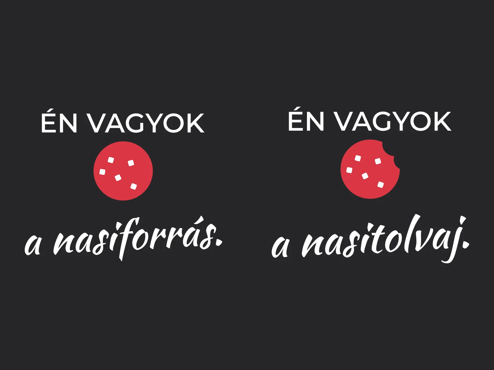 Én vagyok a nasiforrás / Én vagyok a nasitolvaj – páros kapucnis pulóver – 2. termékfotó