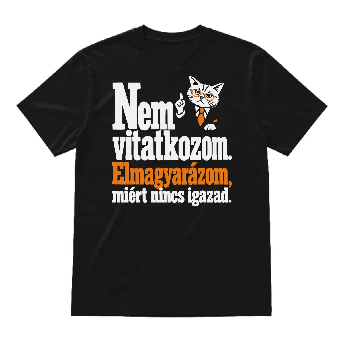Nem vitatkozom – elmagyarázom, miért nincs igazad – vicces póló