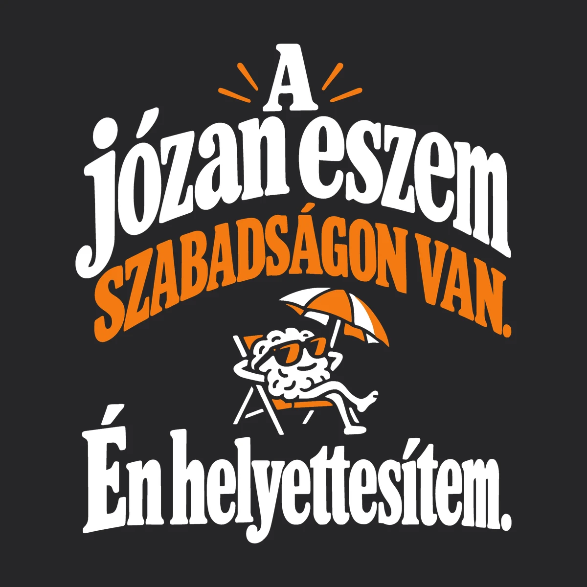 A józan eszem szabadságon van – én helyettesítem – vicces cipzáros pulóver – 2. termékfotó